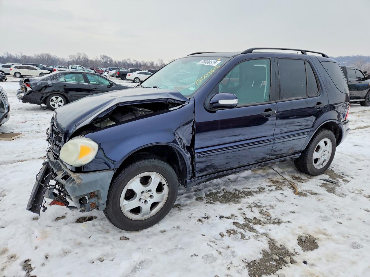 2002 Mercedes-Benz M 320/430/500, VIN 4JGAB54E92A348325 — Перед