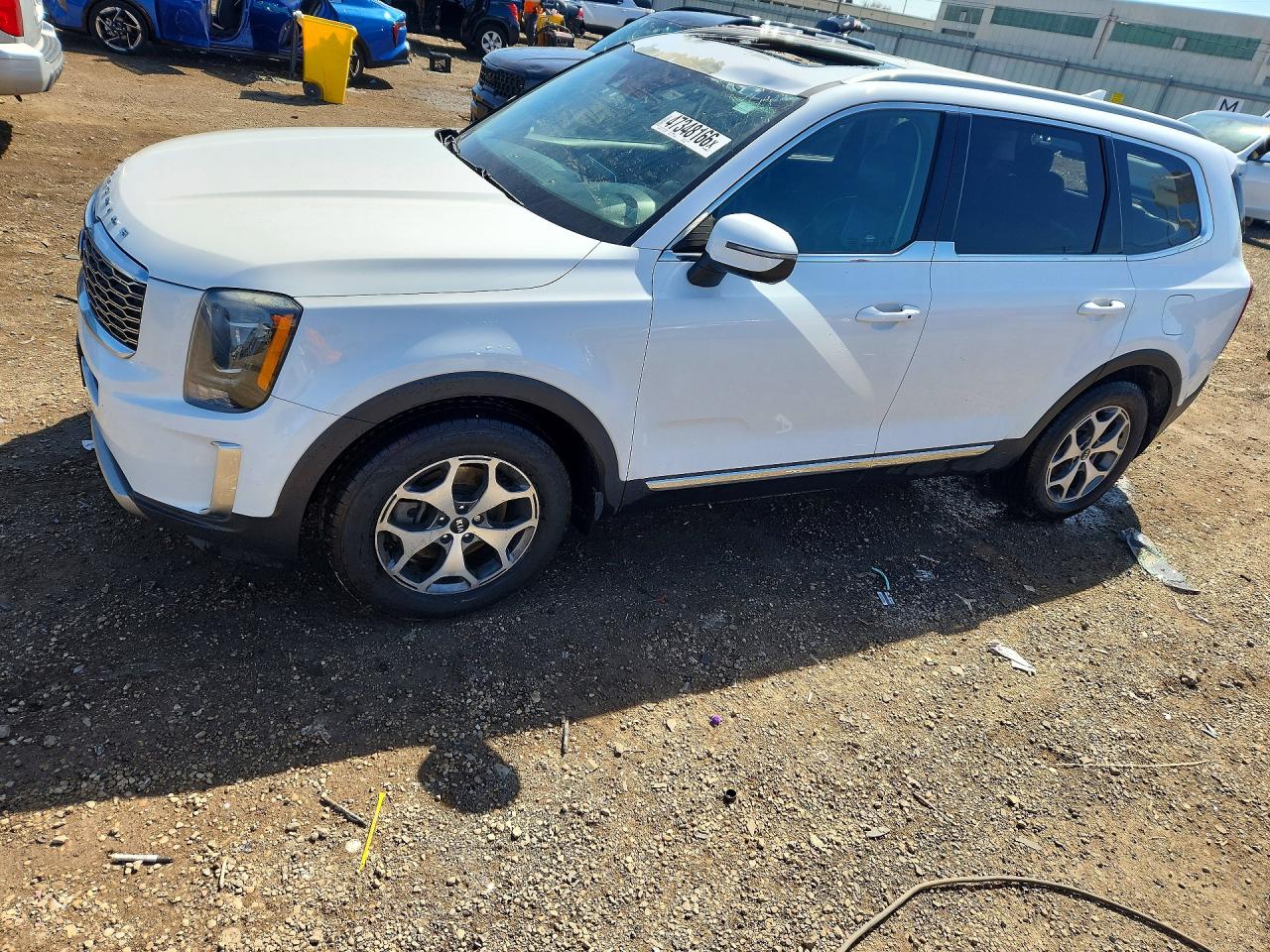 2020 Kia Telluride EX, VIN 5XYP34HC6LG028301 — Hail