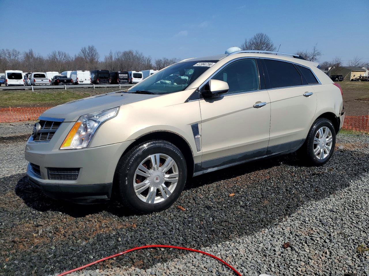 2010 Cadillac SRX Luxury Collection, VIN 3GYFNDEY0AS544066 — Зад