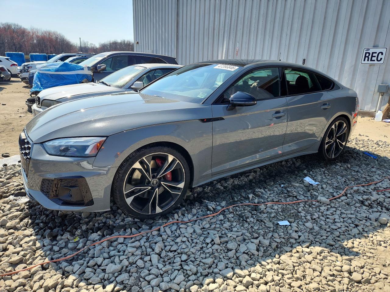 2022 Audi S5 Sportback Premium Plus, VIN WAUC4CF52NA022473 — Зад