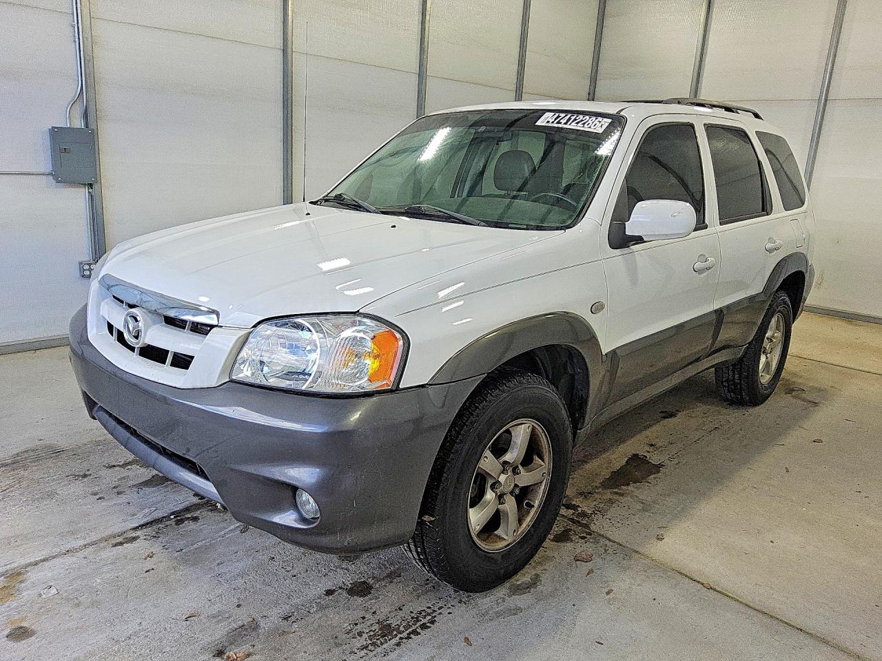 2006 Mazda Tribute S, VIN 4F2CZ96186KM01638 — Minor dents and scratches