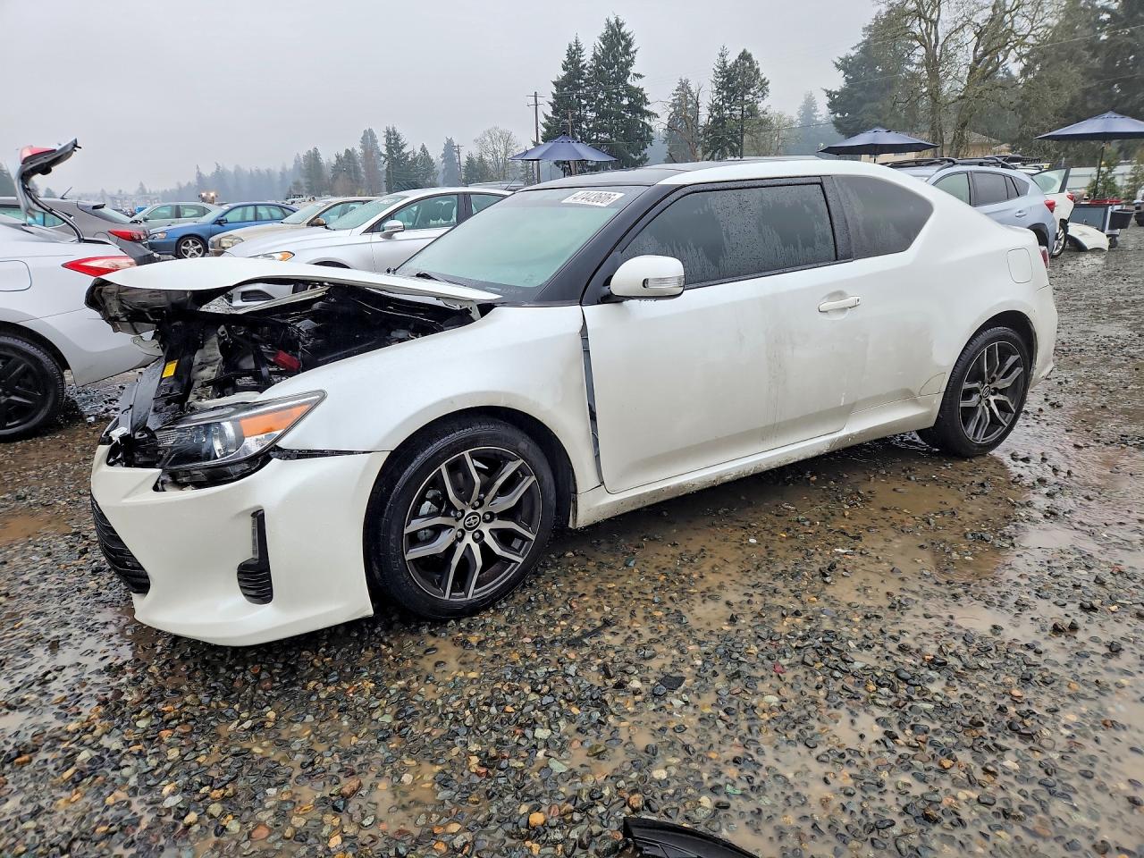 2015 Scion tC, VIN JTKJF5C79F3093299 — Front end