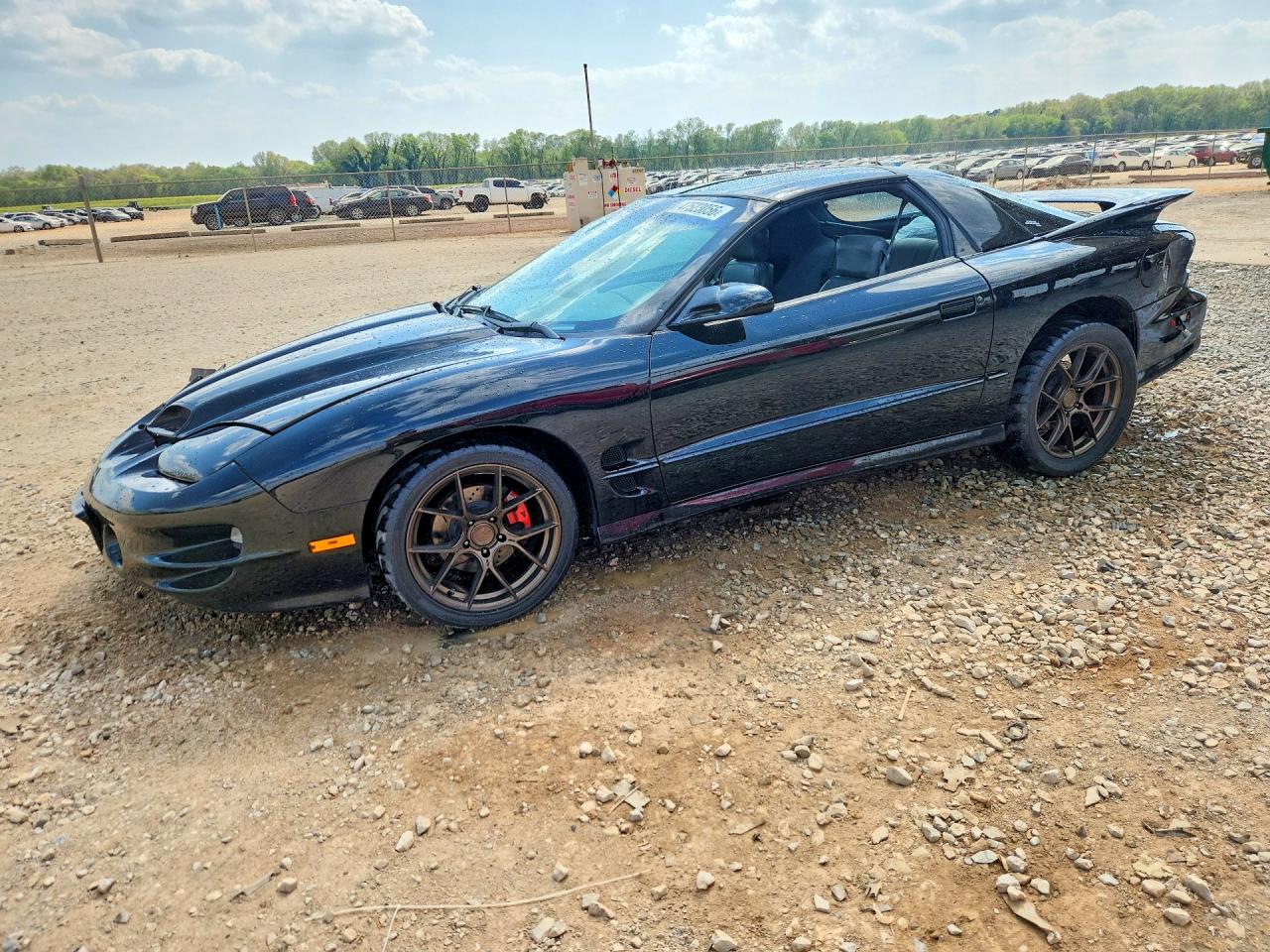1998 Pontiac Firebird Formula, VIN 2G2FV22G1W2230806 — Front end