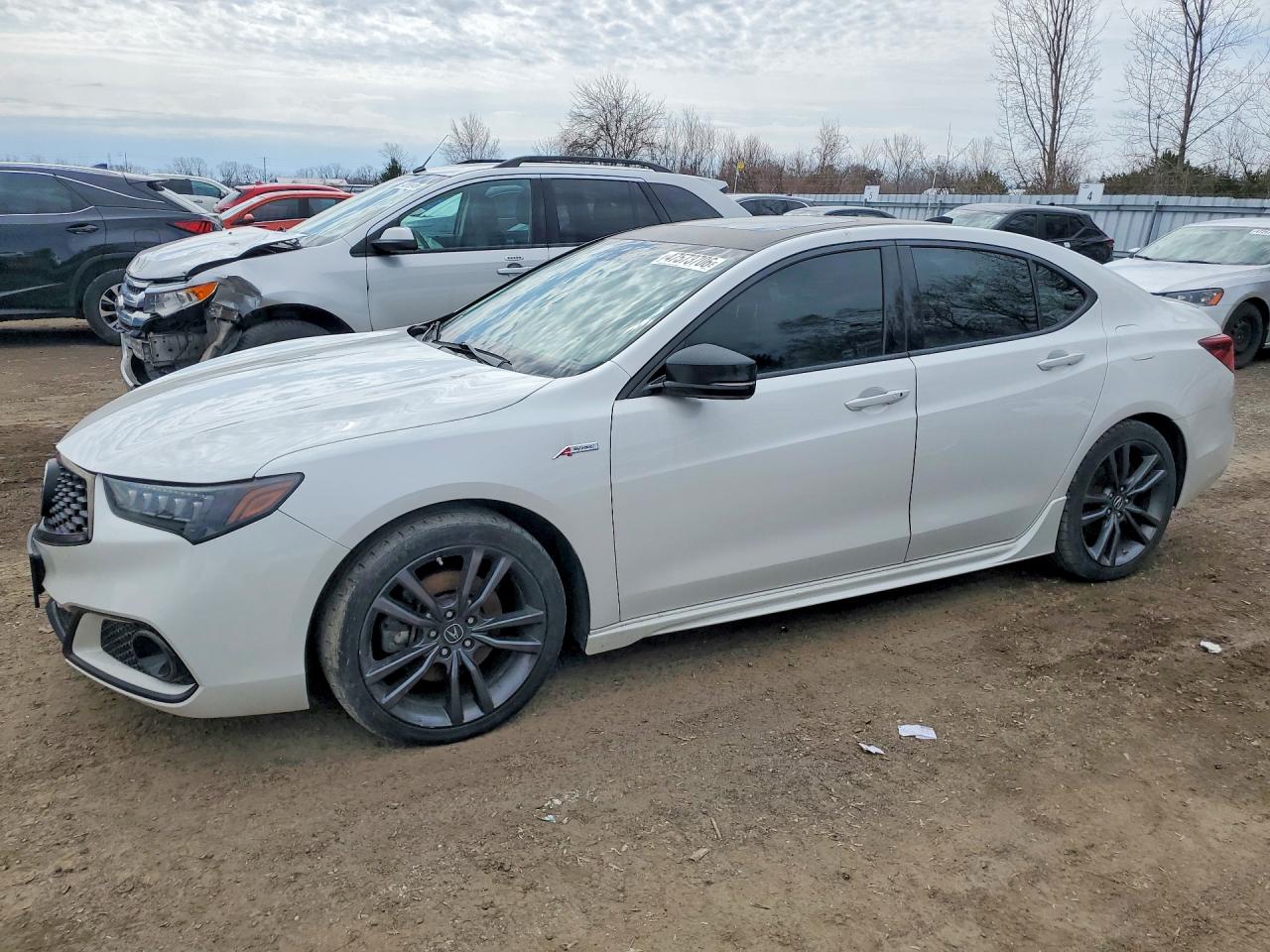 2020 Acura TLX w/A-Spec Pkg, VIN 19UUB3F64LA800261 — Undercarriage