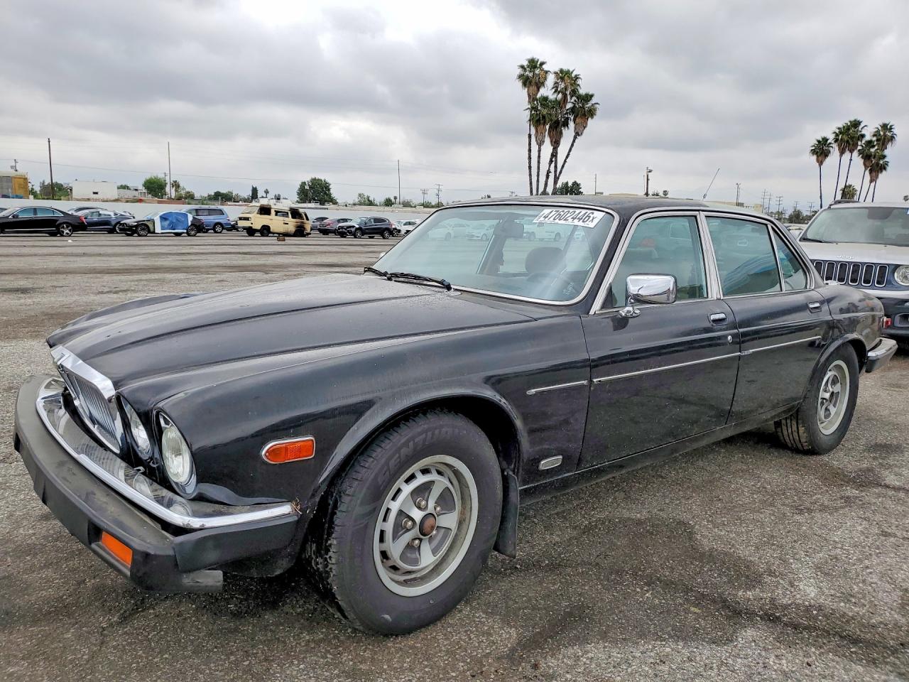 1986 Jaguar XJ, VIN SAJAY134XGC438696 — Front end