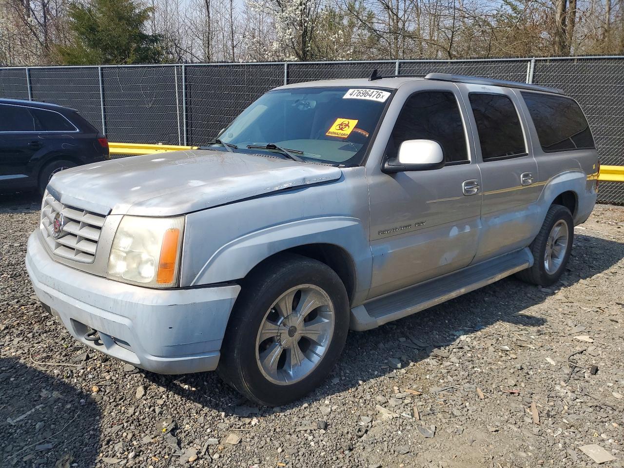 2006 Cadillac Escalade ESV, VIN 3GYFK66NX6G212736 — Мелкие вмятины и царапины