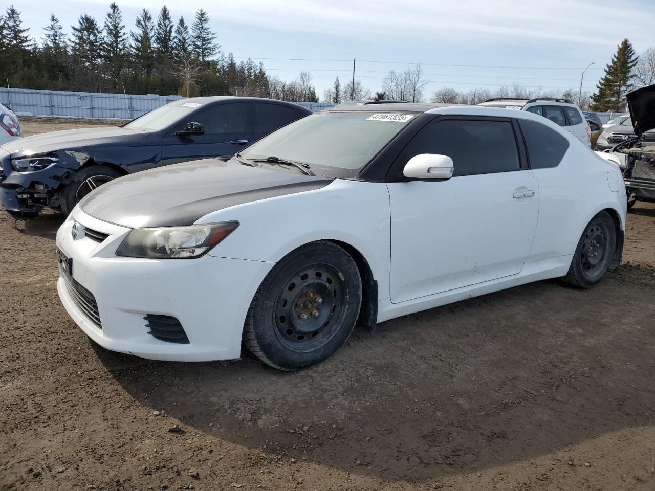 2011 Scion tC, VIN JTKJF5C70B3007842 — Vandalism