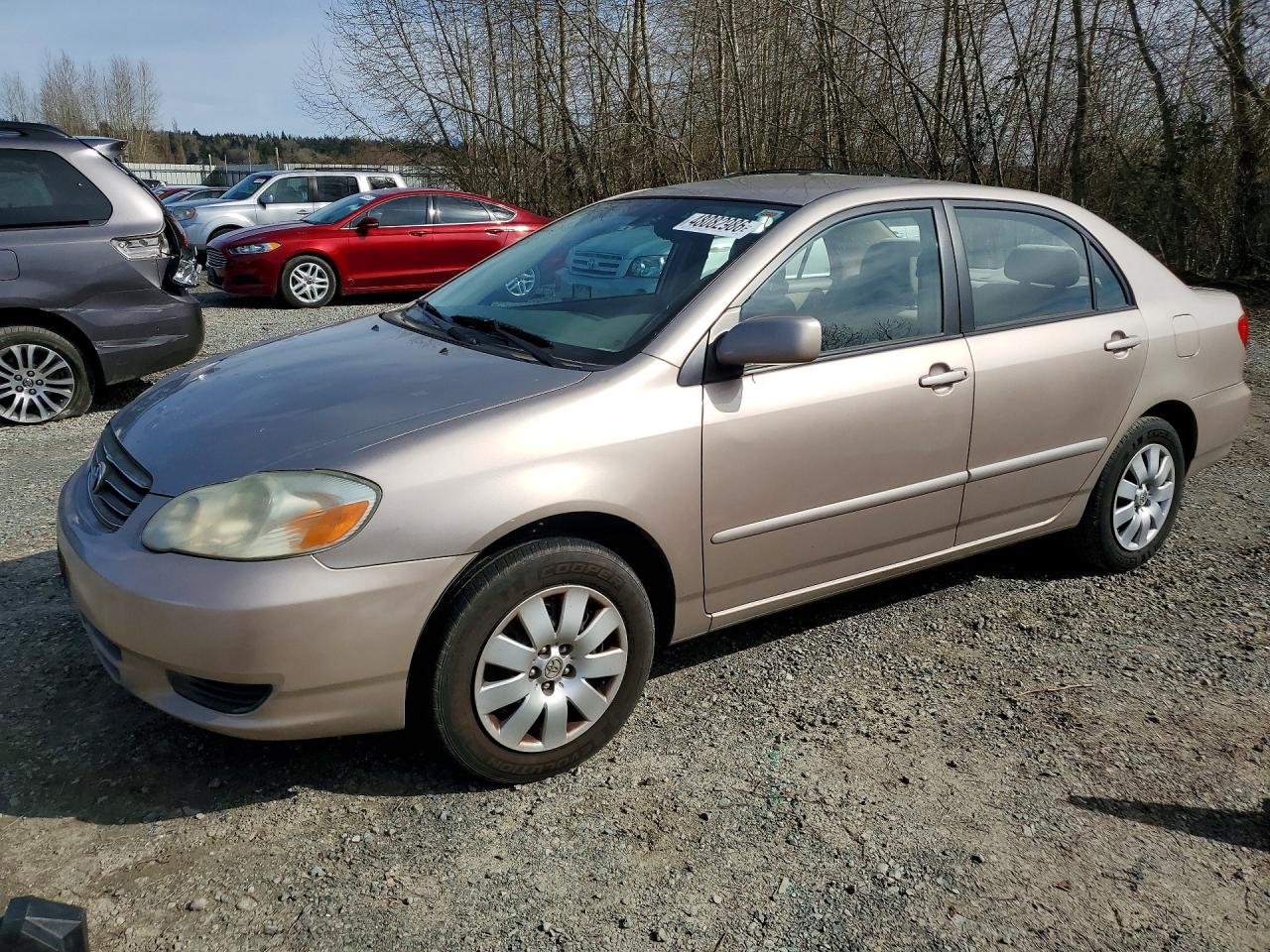 2003 Toyota Corolla LE, VIN 1NXBR32E43Z184800 — Side