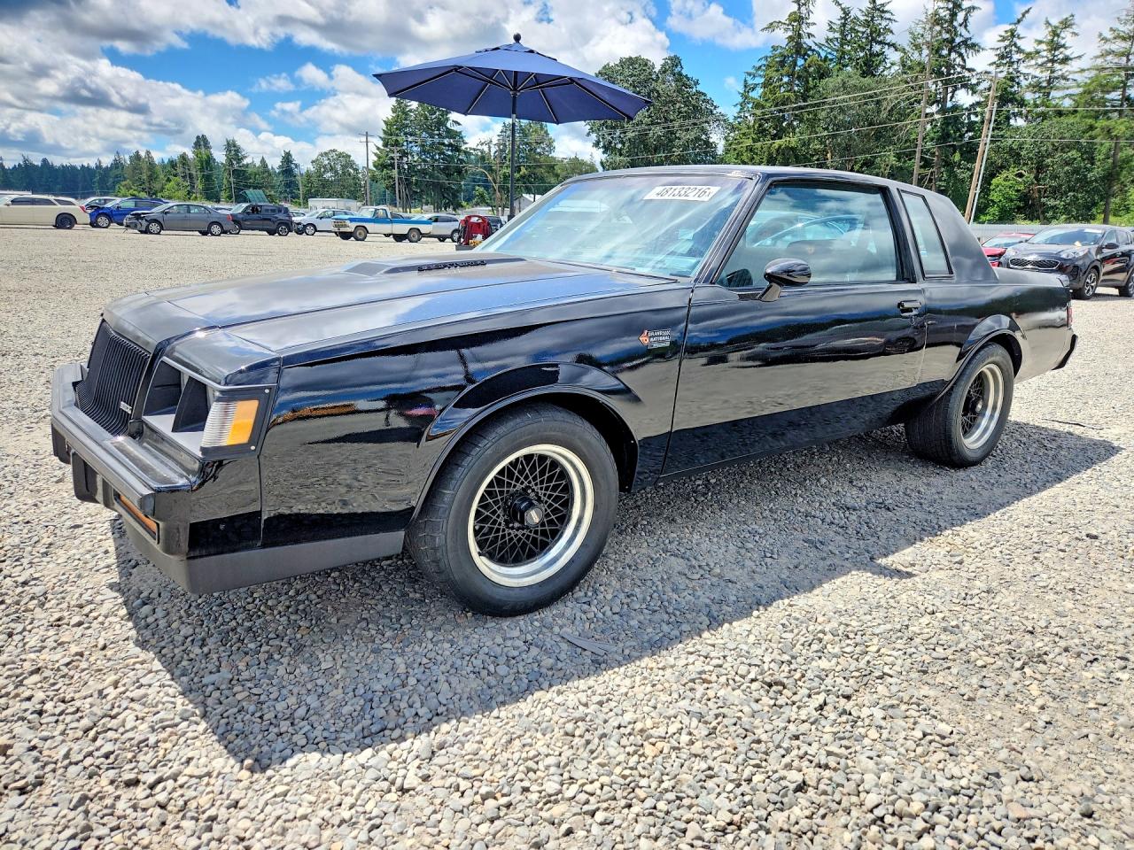 1987 Buick Regal, VIN 1G4GJ1177HP446805 — Мелкие вмятины и царапины