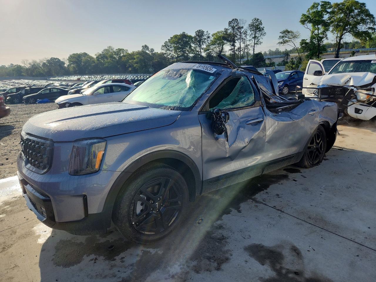 2024 Kia Telluride SX Prestige X-Pro, VIN 5XYP5DGC8RG504679 — Roof