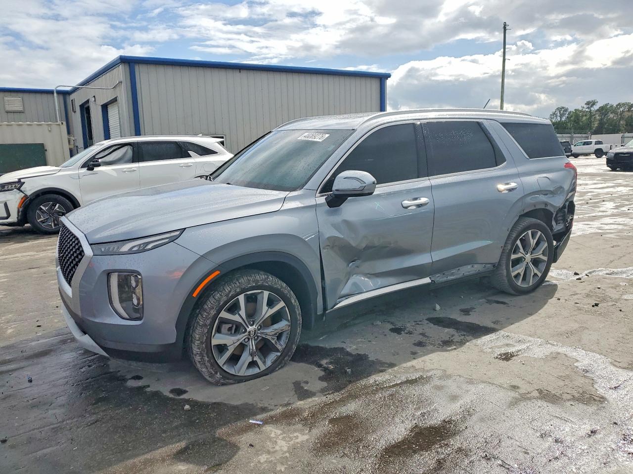 2020 Hyundai Palisade SEL, VIN KM8R44HE0LU119873 — Side