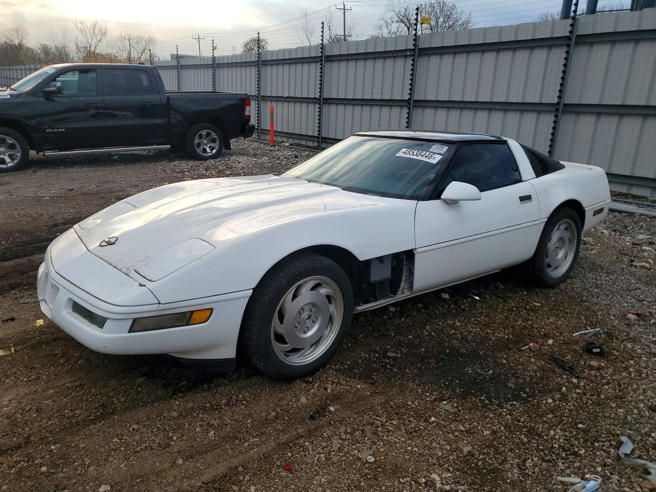 1996 Chevrolet Corvette, VIN 1G1YY22PXT5114248 — Front end