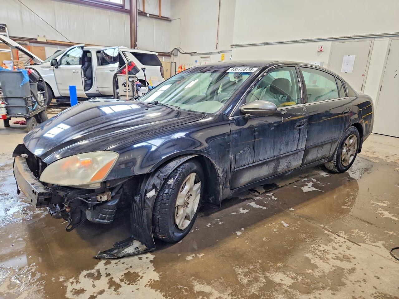 2003 Nissan Altima SL, VIN 1N4AL11EX3C301914 — Front end