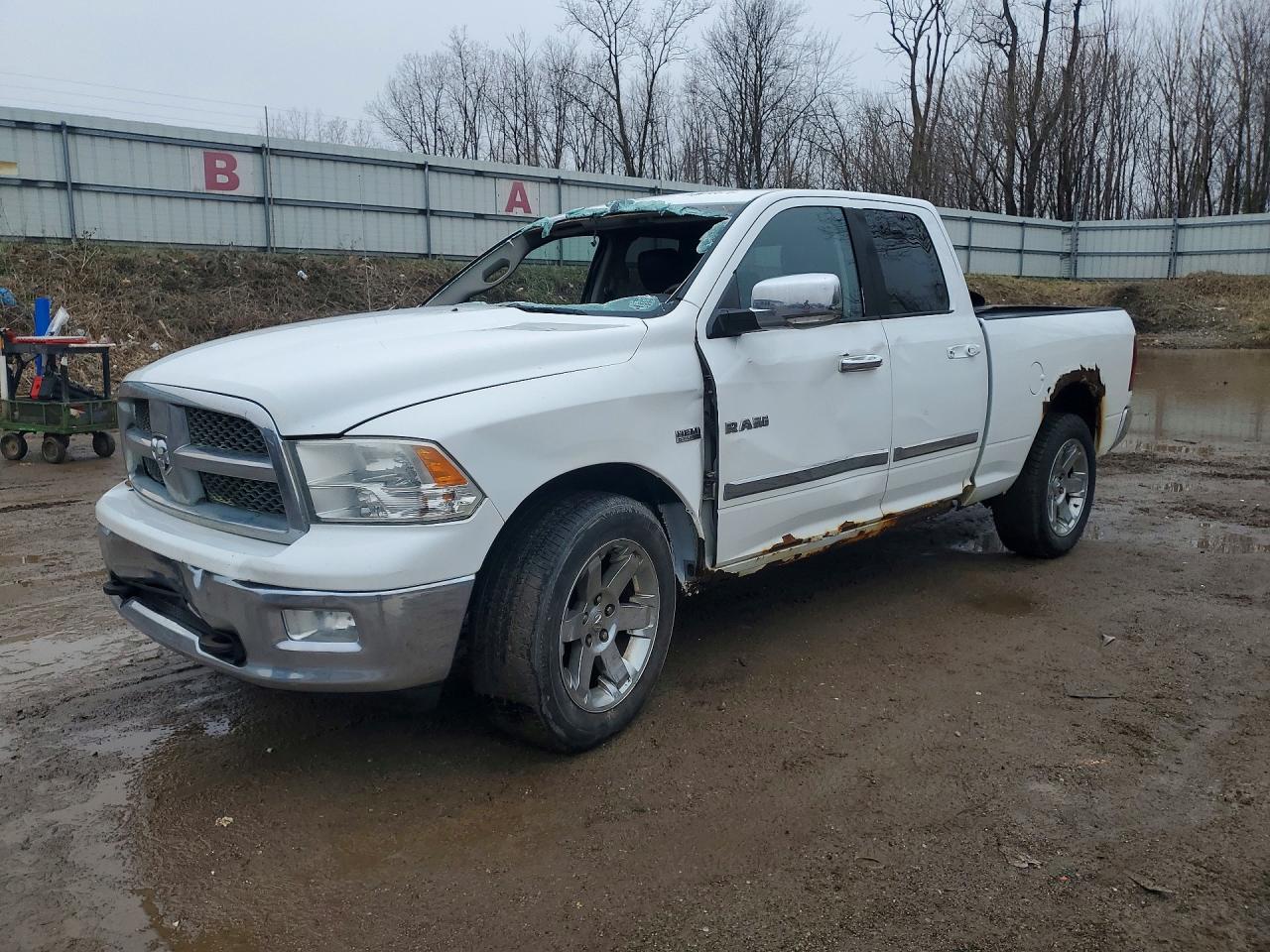 2010 Dodge 1500 SLT, VIN 1D7RV1GT4AS254949 — Опрокидывание