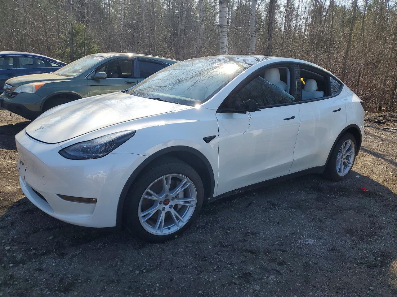 2023 Tesla Model Y Long Range, VIN 7SAYGAEEXPF642801 — Vandalism