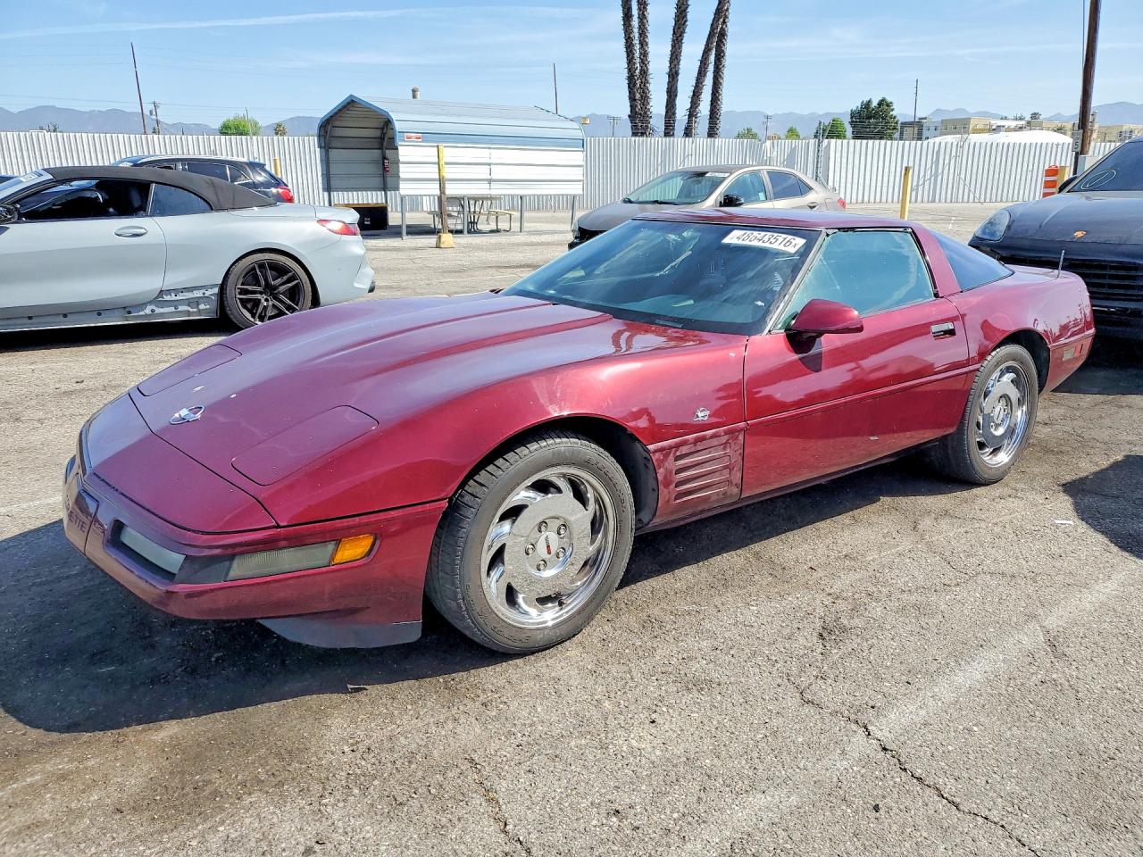 1993 Chevrolet Corvette, VIN 1G1YY23P4P5114962 — Minor dents and scratches