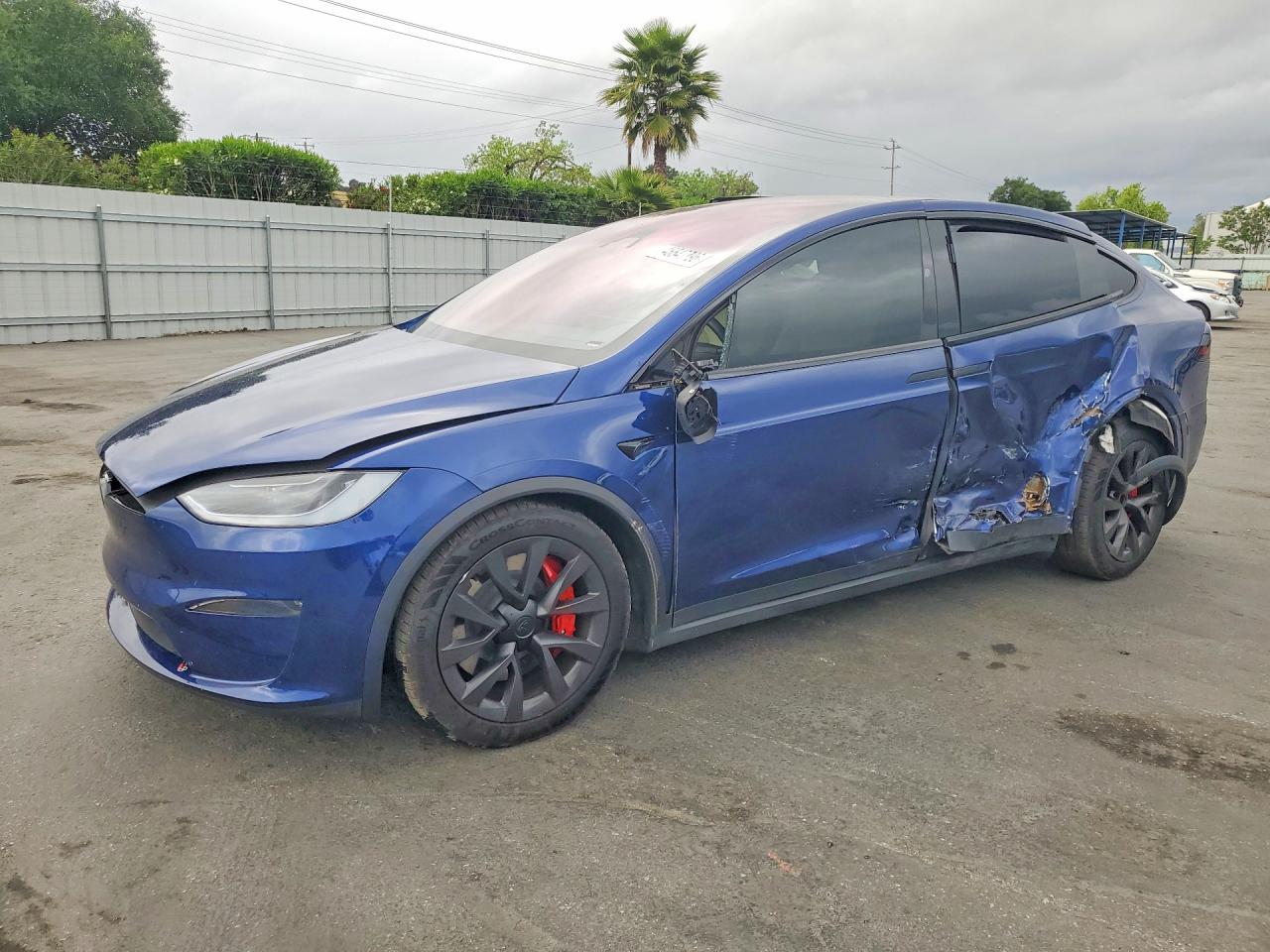 2024 Tesla Model X Plaid, VIN 7SAXCBE69RF454764 — Side