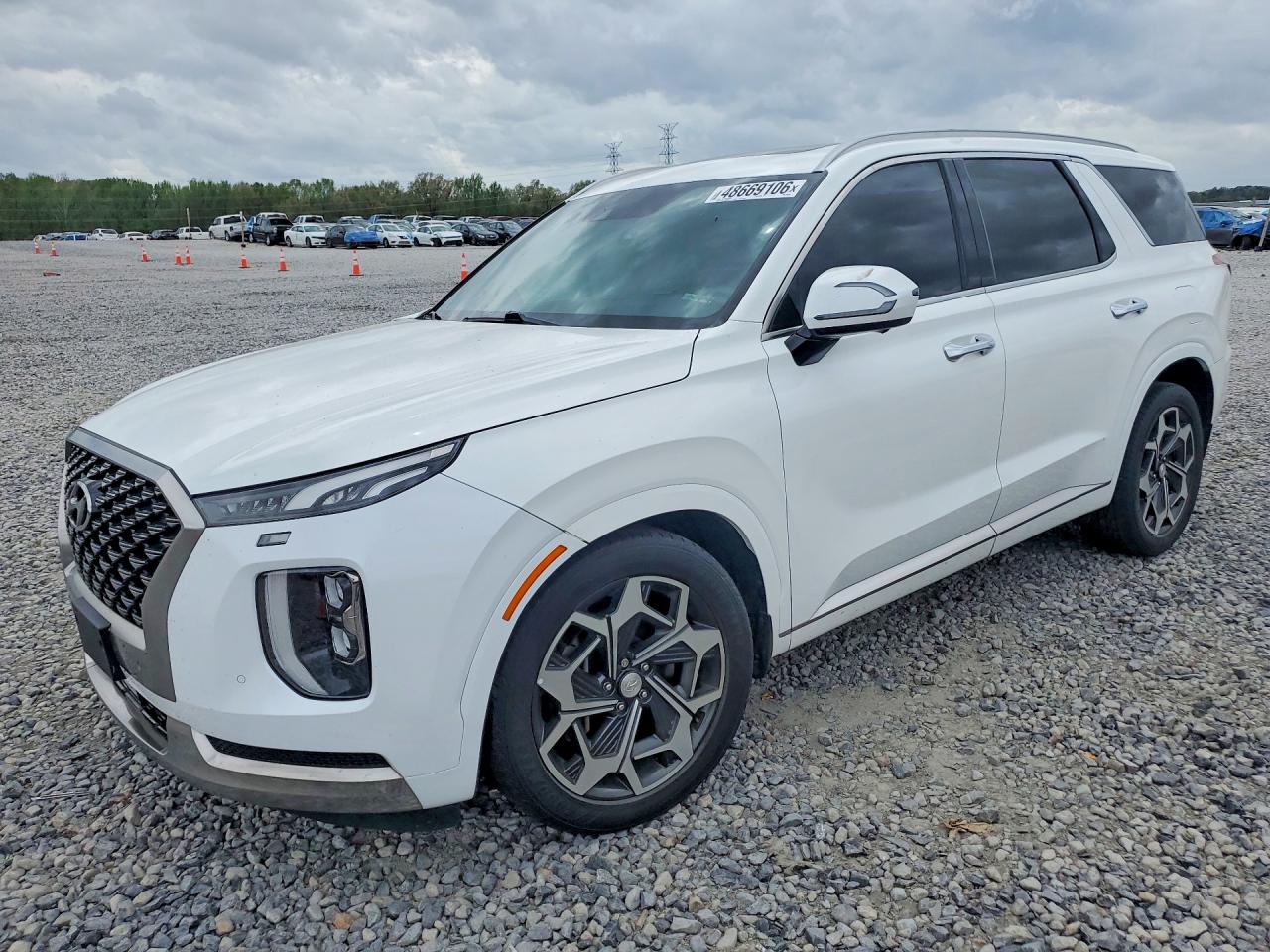 2022 Hyundai Palisade Calligraphy, VIN KM8R7DHE9NU422869 — Side