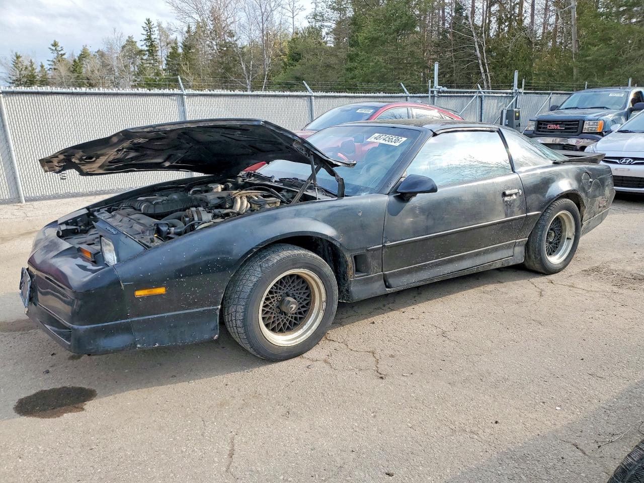 1988 Pontiac Firebird, VIN 1G2FW21F1JL251833 — Front end
