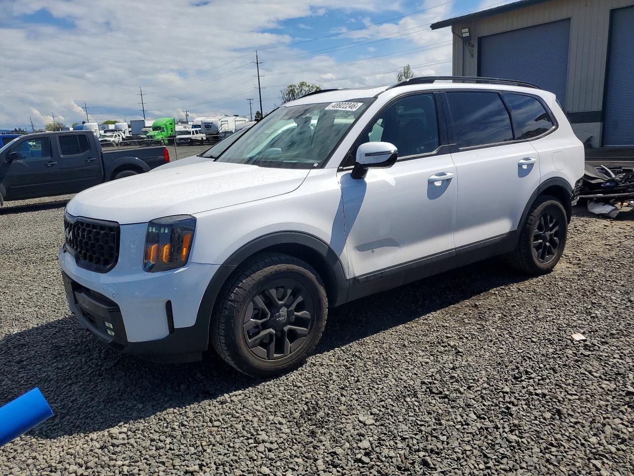 2024 Kia Telluride SX Prestige X-Pro, VIN 5XYP5DGC6RG533078 — Rear end
