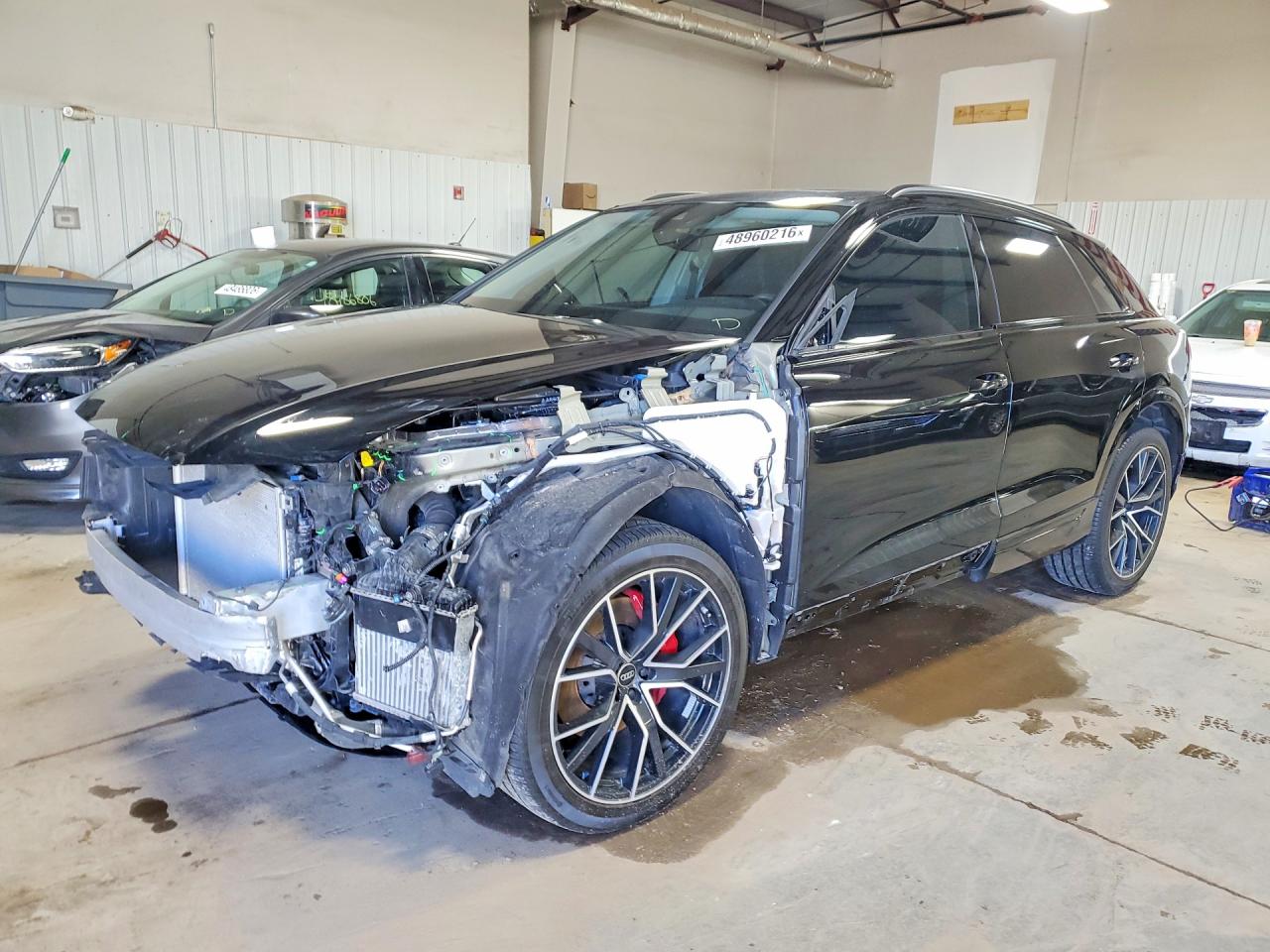 2023 Audi Q8 Premium Plus, VIN WA1EVBF18PD028211 — Front end