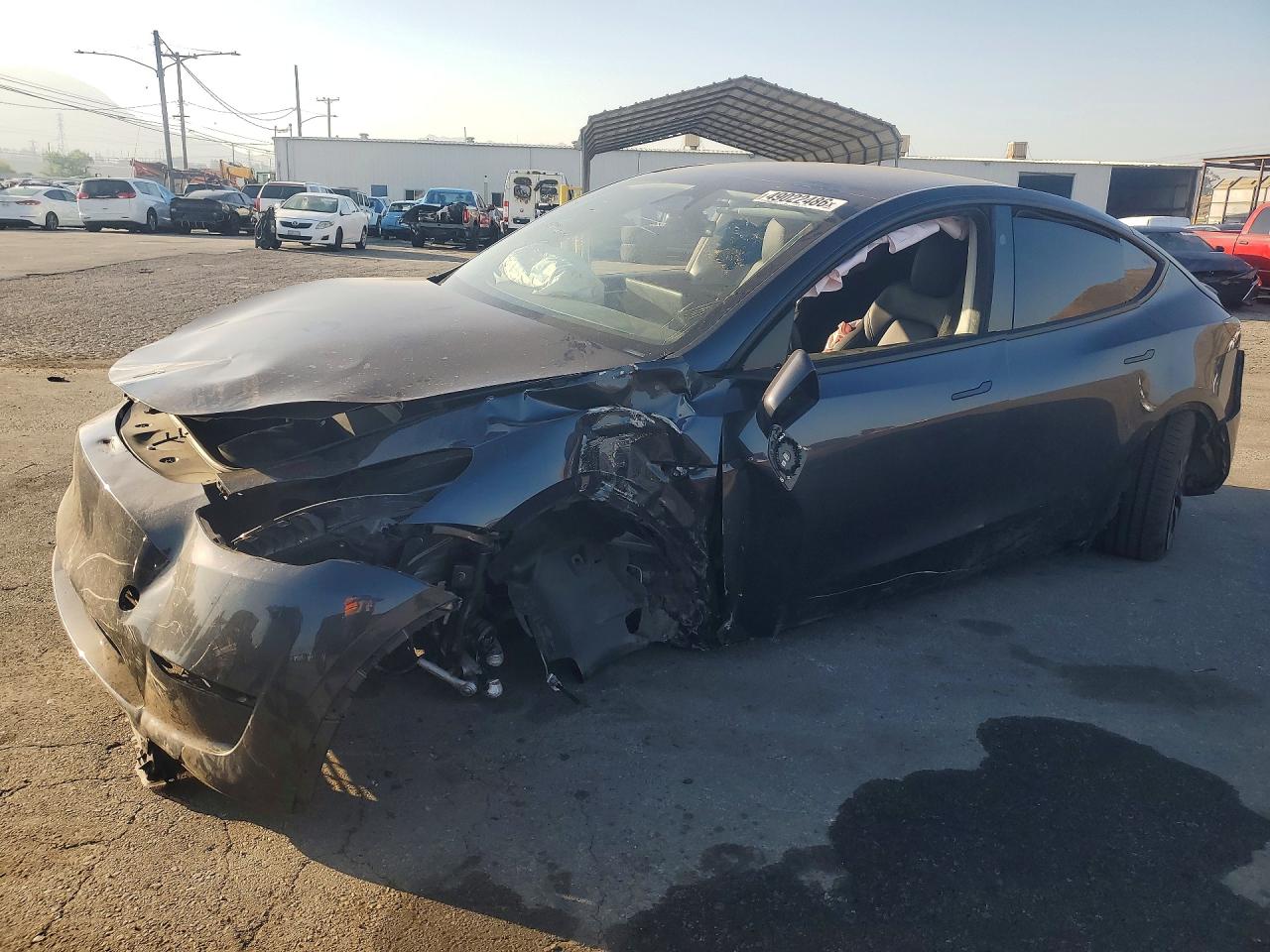 2024 Tesla Model Y Performance, VIN 7SAYGDEF8RF087408 — Front end