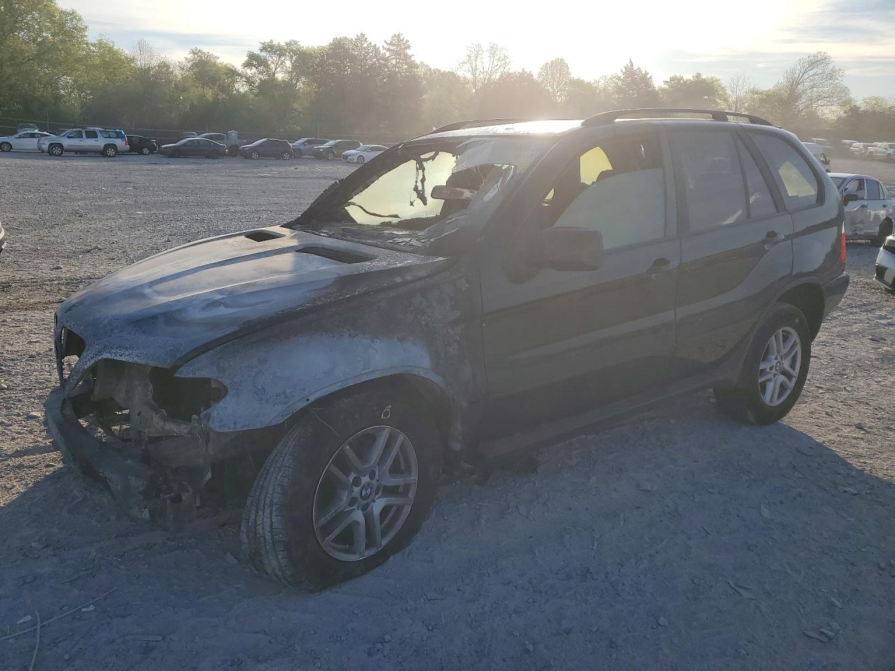2004 BMW X5 3.0i, VIN 5UXFA135X4LU43022 — Пожар