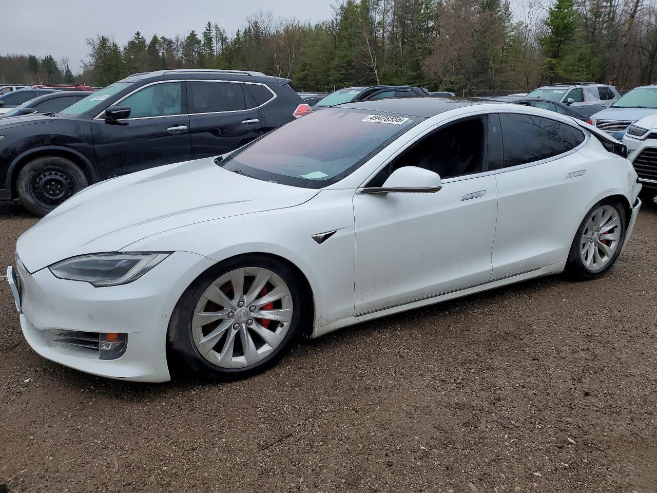 2019 Tesla Model S 100D, VIN 5YJSA1E49KF334975 — Rear end