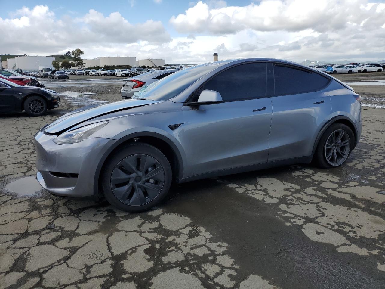 2025 Tesla Model Y Long Range, VIN 7SAYGDEE7SF240633 — All over