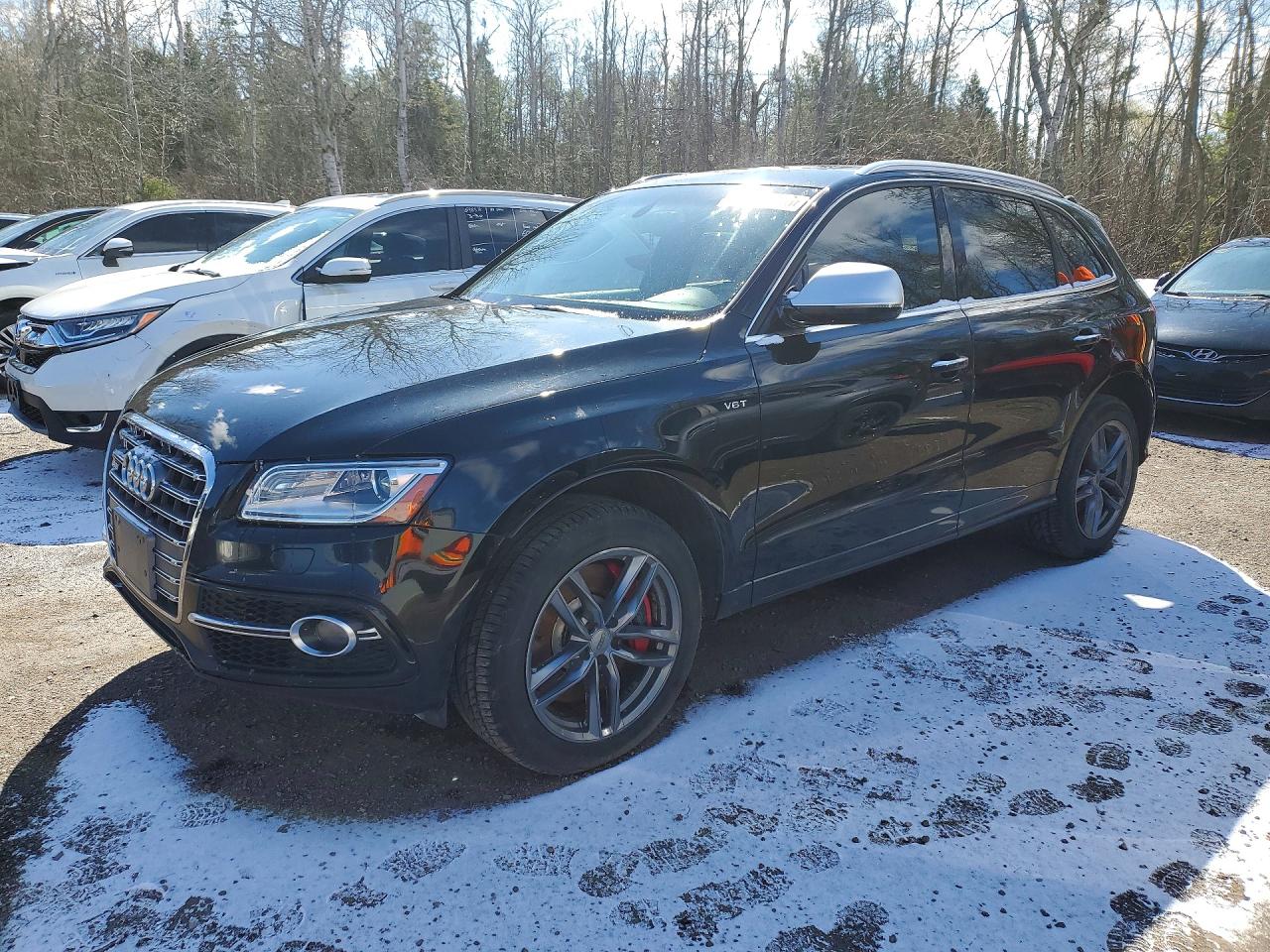 2016 Audi SQ5 Technik, VIN WA1LCAFP8GA090219 — Зад
