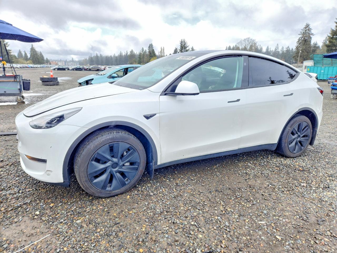 2024 Tesla Model Y Long Range, VIN 7SAYGDEE4RF190459 — Side