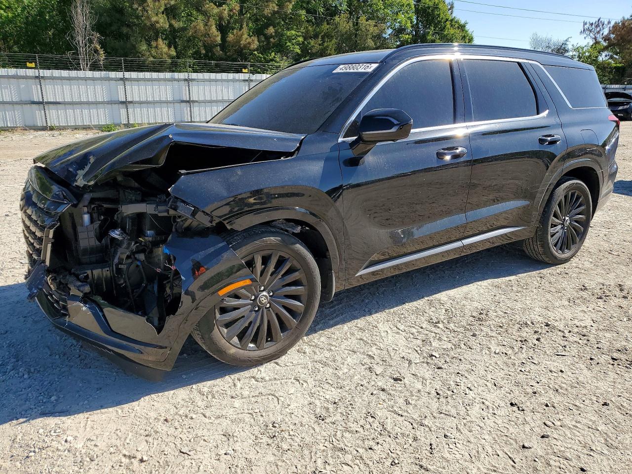 2024 Hyundai Palisade Calligraphy, VIN KM8R7DGE7RU673736 — Front end