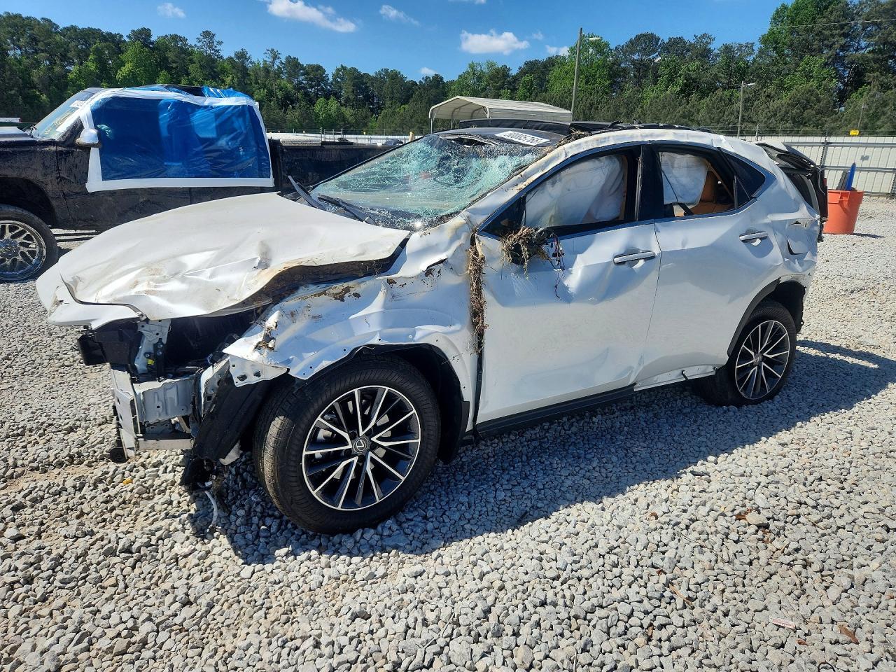 2025 Lexus NX 350h Luxury, VIN JTJHKCEZ4S2066545 — All over