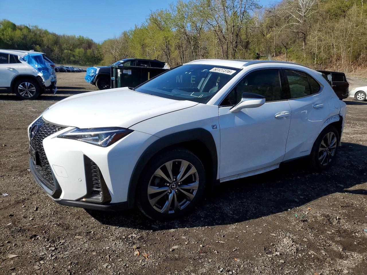 2021 Lexus UX 250h F Sport, VIN JTHR9JBH9M2040723 — Зад