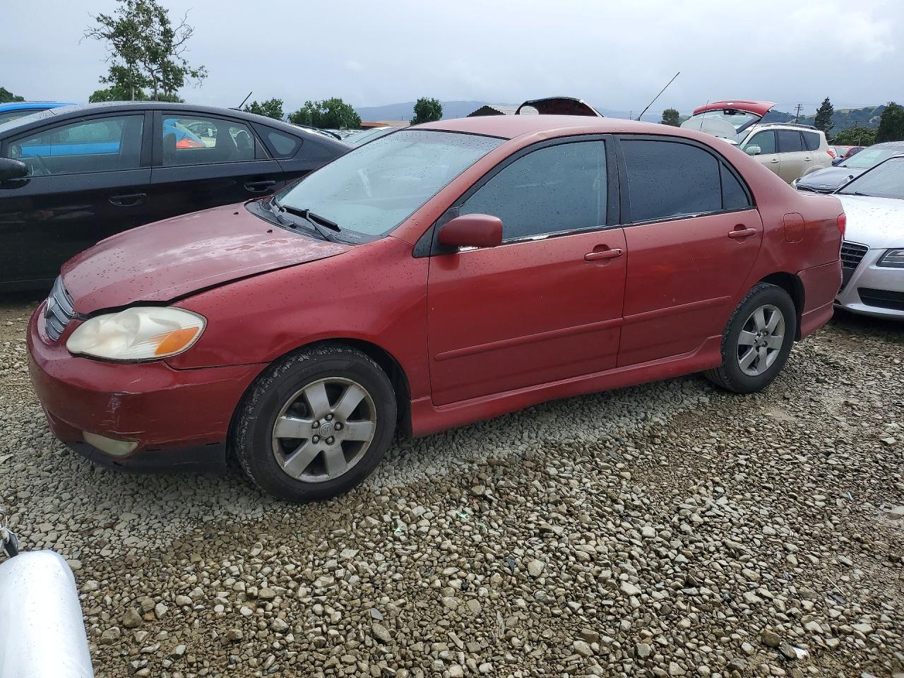 2004 Toyota Corolla S, VIN 1NXBR32E84Z220506 — Rear end