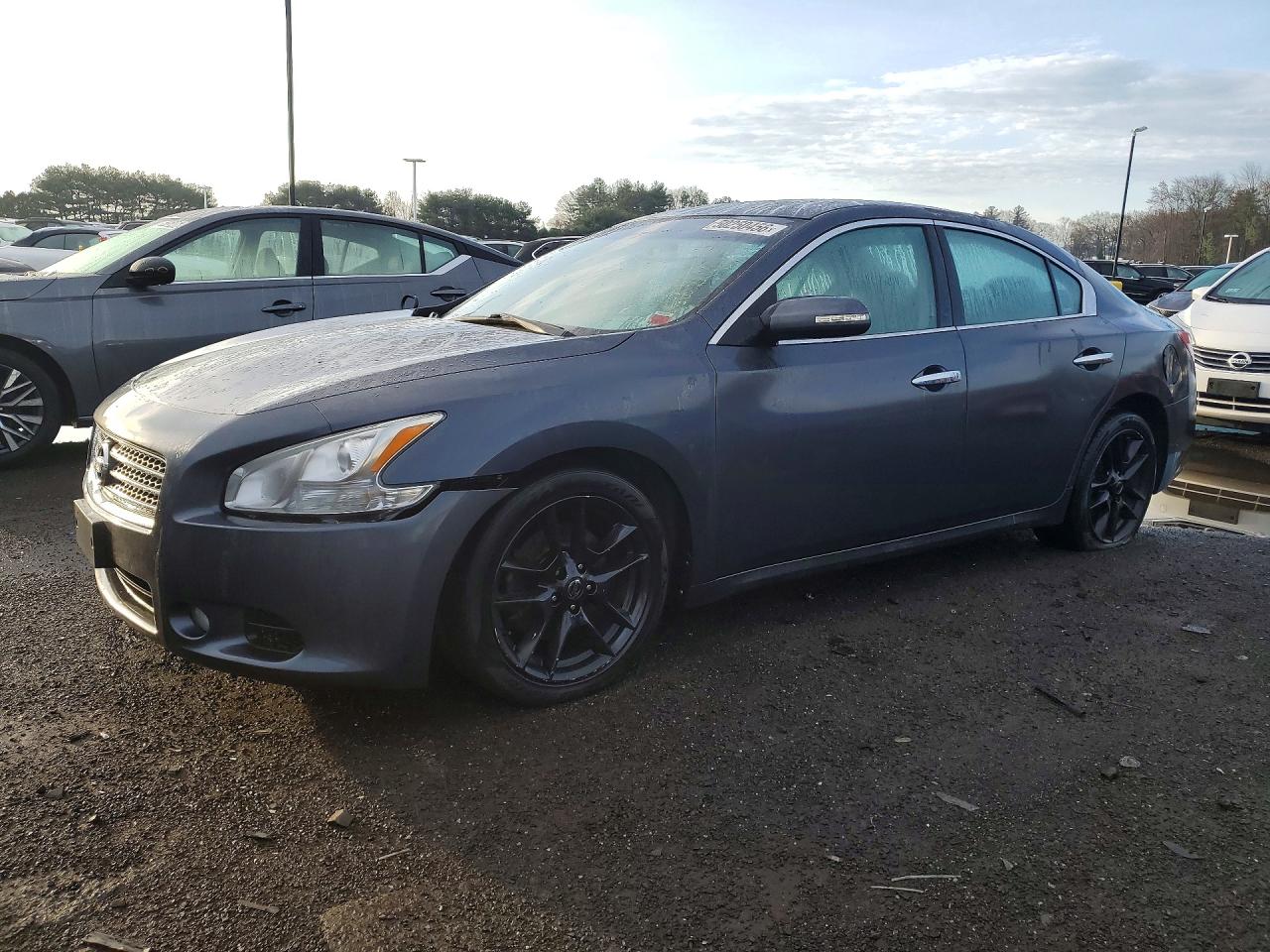 2010 Nissan Maxima SV, VIN 1N4AA5AP1AC857508 — Front end