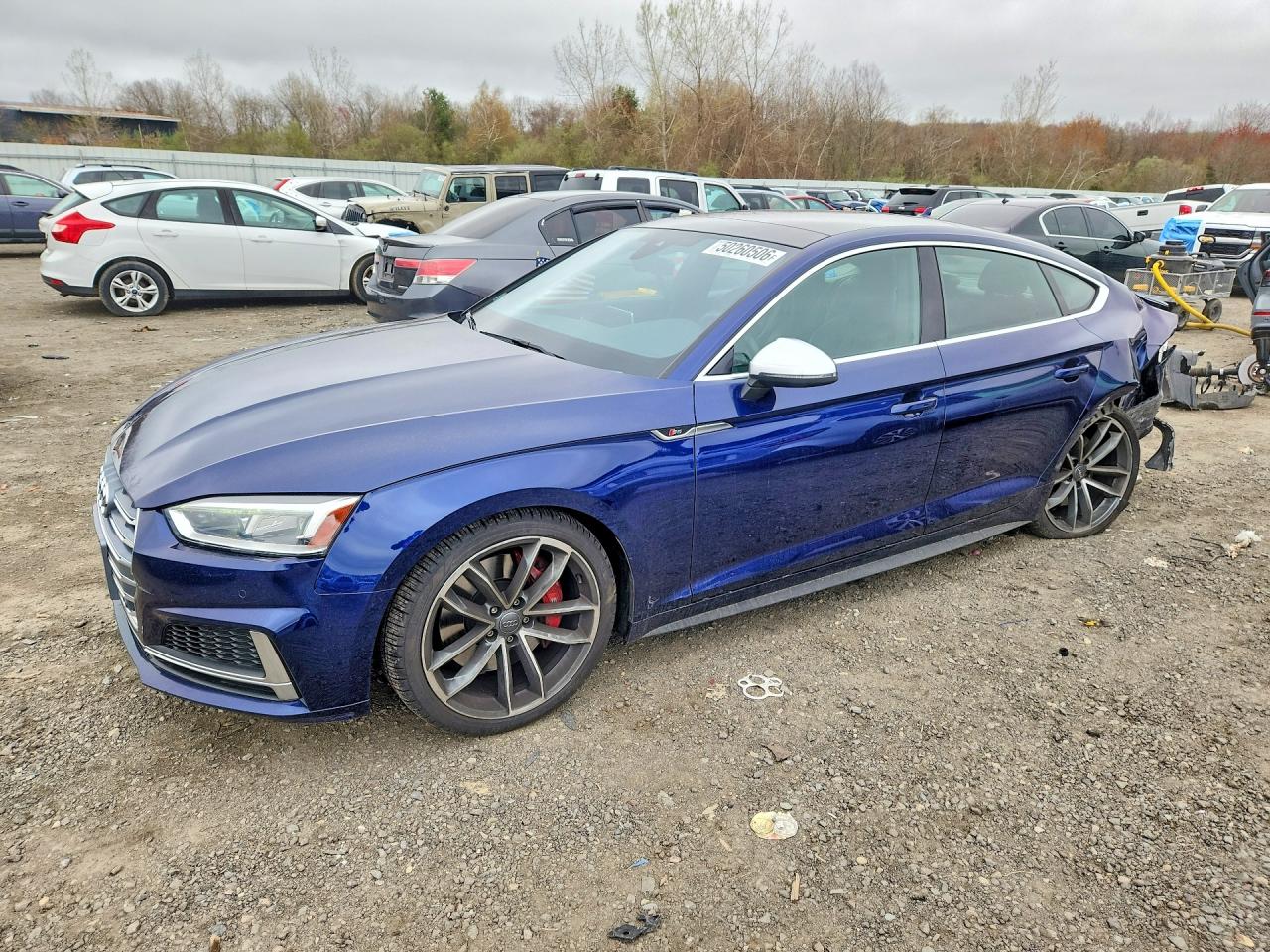 2019 Audi S5 Sportback Premium Plus, VIN WAUB4CF56KA095076 — Зад