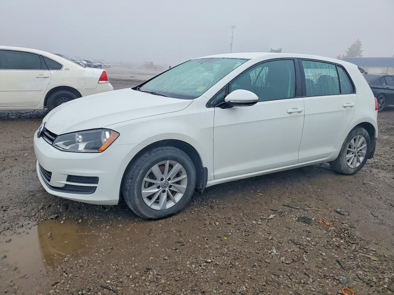 2016 Volkswagen Golf TSI S, VIN 3VW117AU5GM061151 — Water / flood
