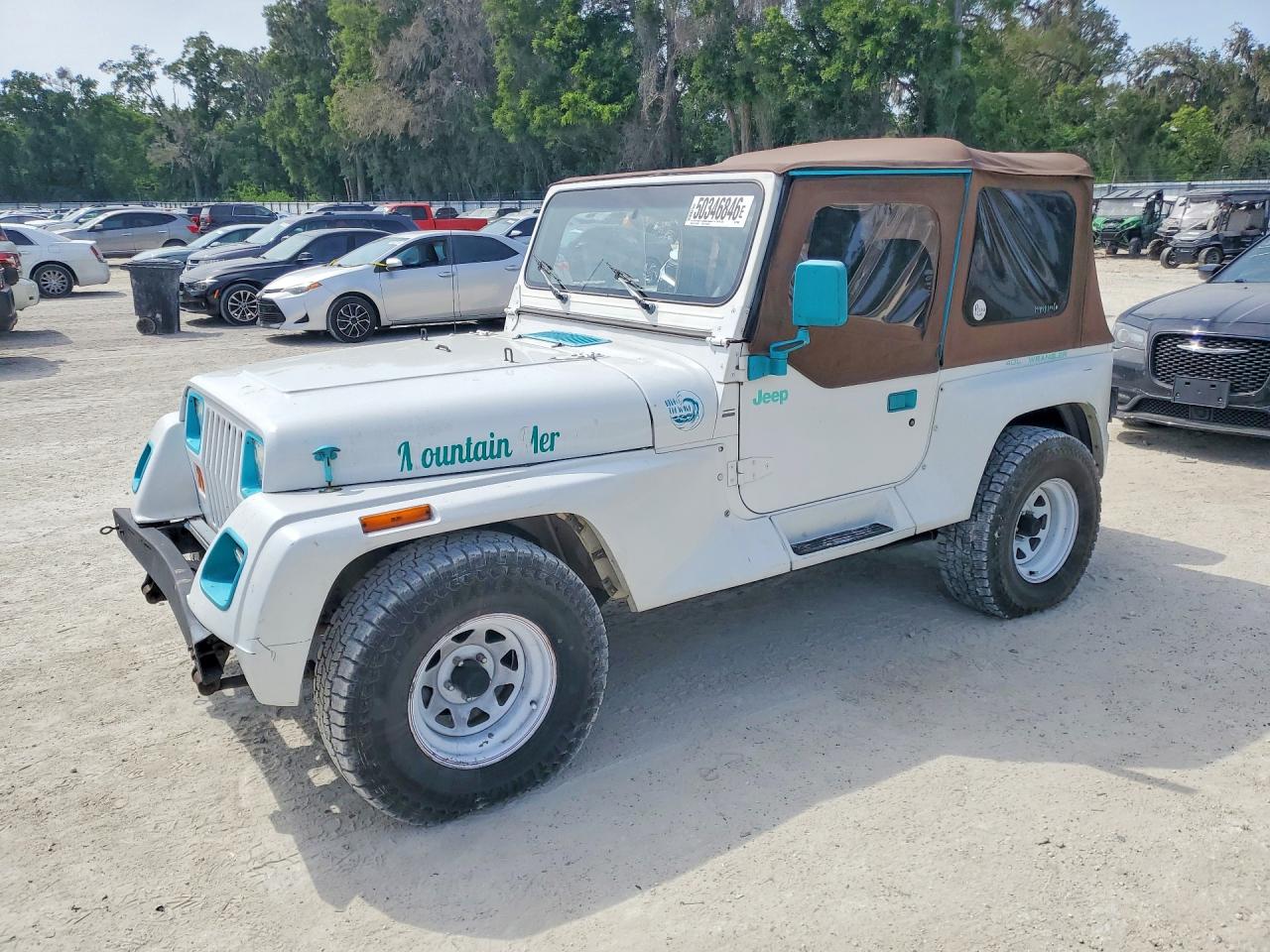 1993 Jeep Wrangler, VIN 1J4FY69S0PP216839 — Side