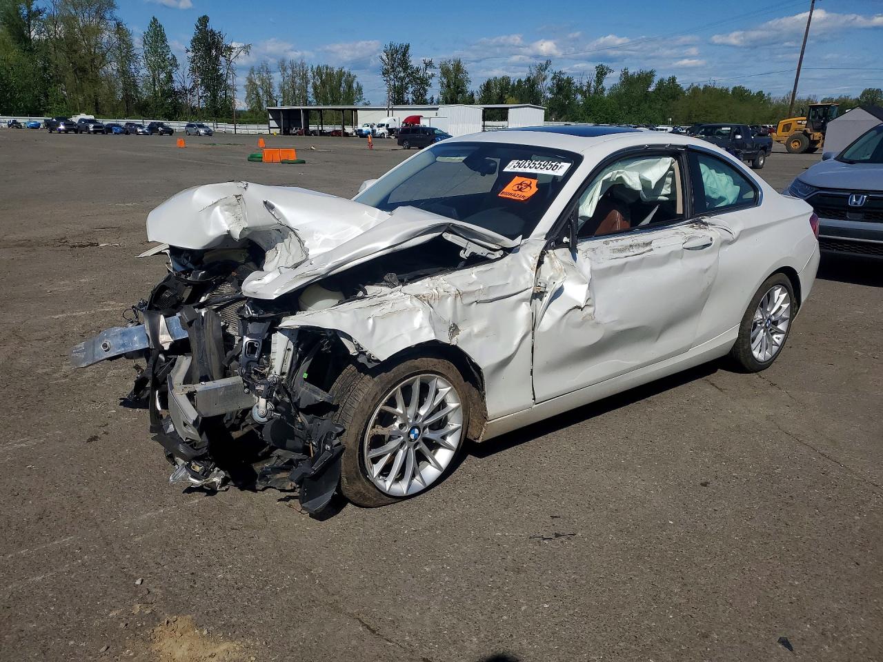 2014 BMW 2 Series 228i, VIN WBA1F5C52EV255411 — Front end