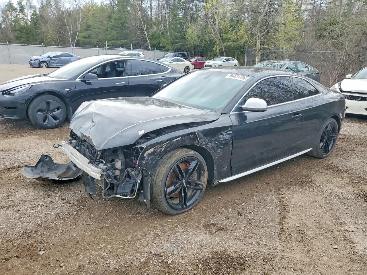 2009 Audi S5, VIN WAURV78T49A029151 — Перед