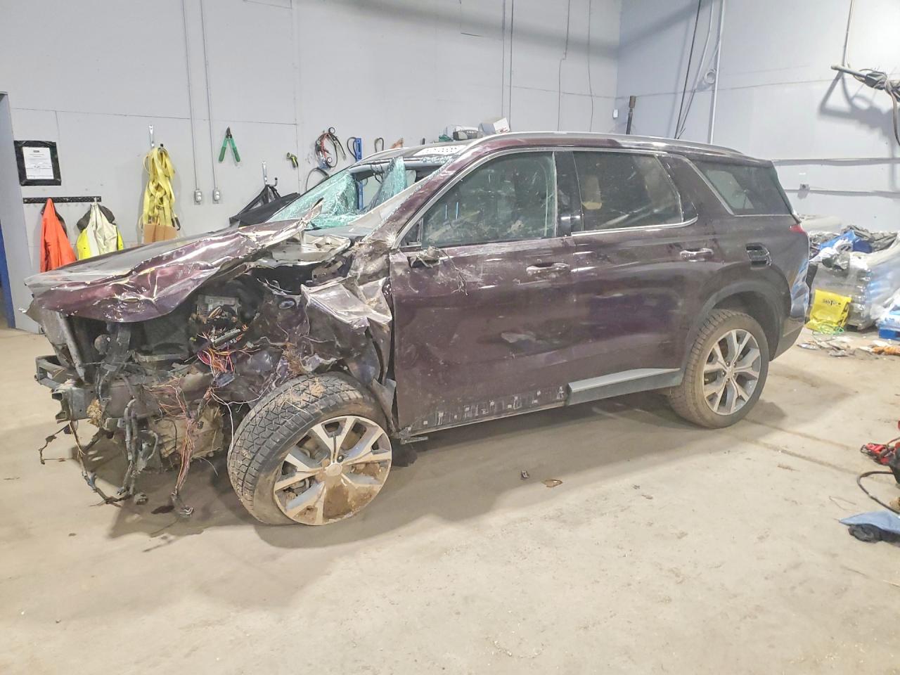 2020 Hyundai Palisade SEL, VIN KM8R3DHE5LU054263 — Biohazard / chemical
