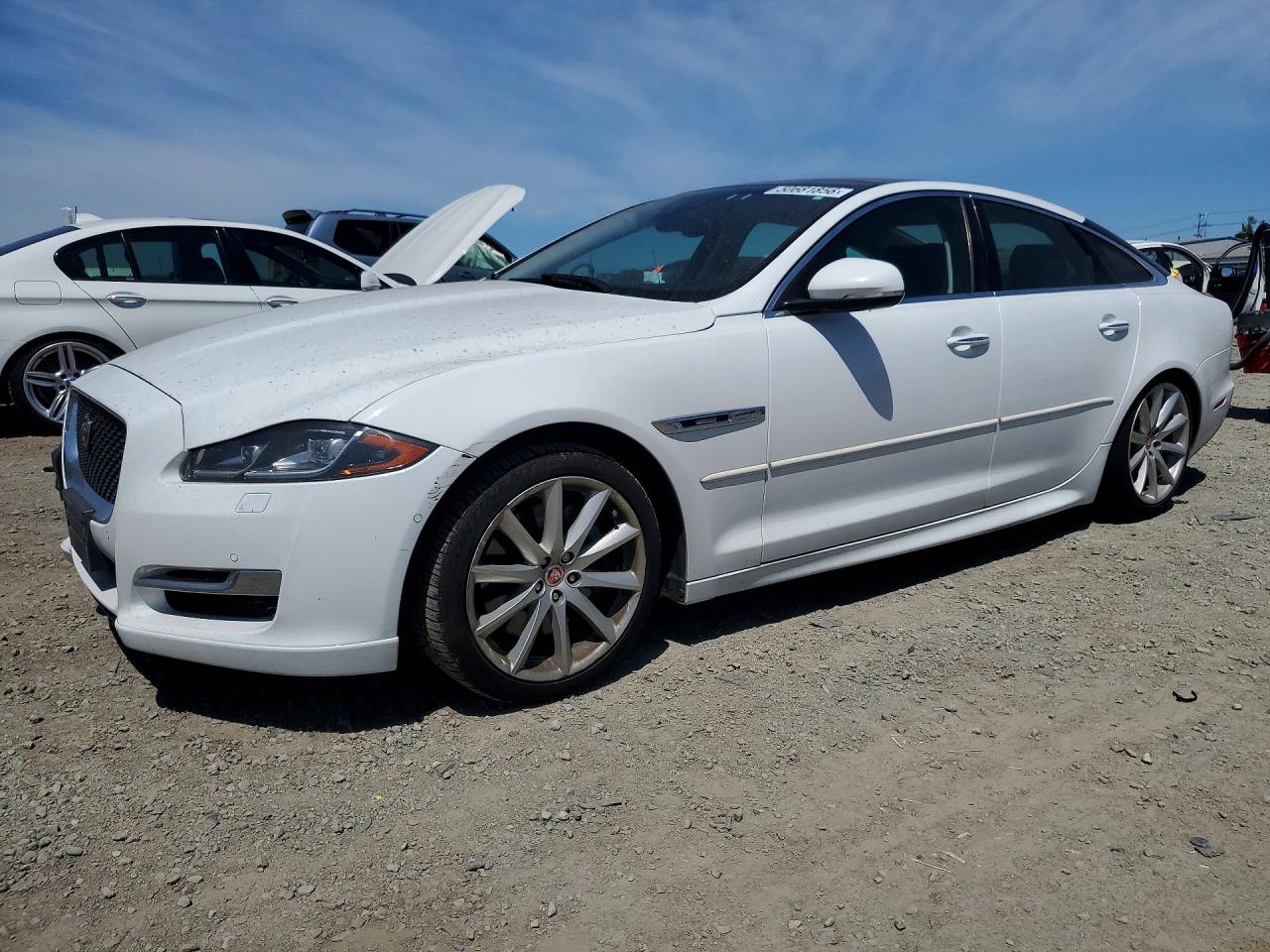 2019 Jaguar XJ R-Sport, VIN SAJWA1C73K8W21518 — Minor dents and scratches