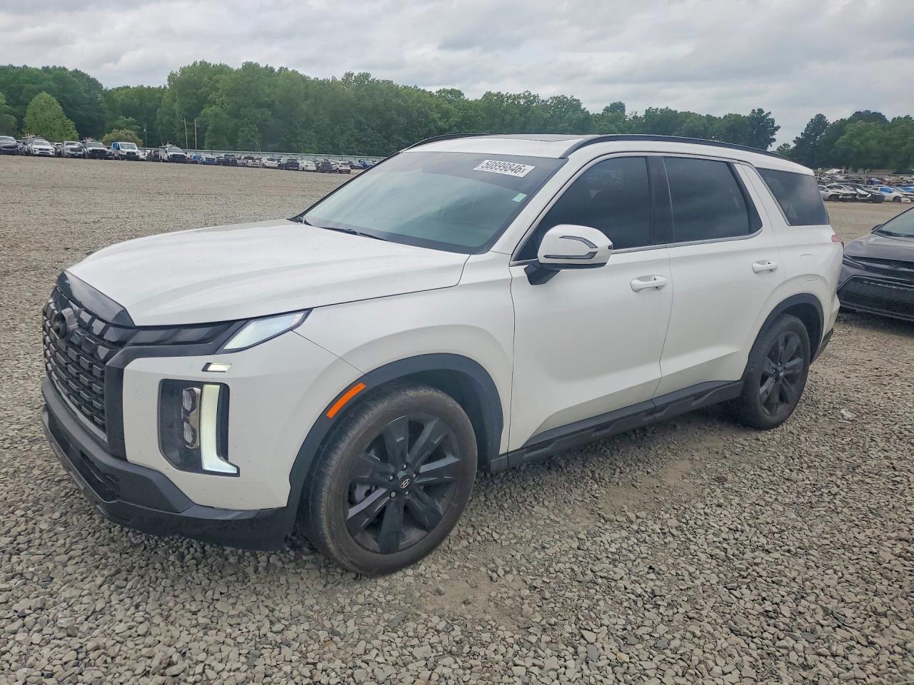 2024 Hyundai Palisade XRT, VIN KM8R34GE0RU725493 — Rear end