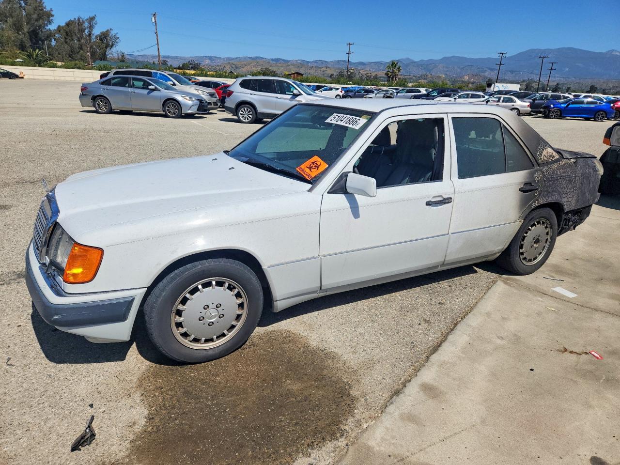 1993 Mercedes-Benz 300, VIN WDBEB28E5PB981581 — Burn