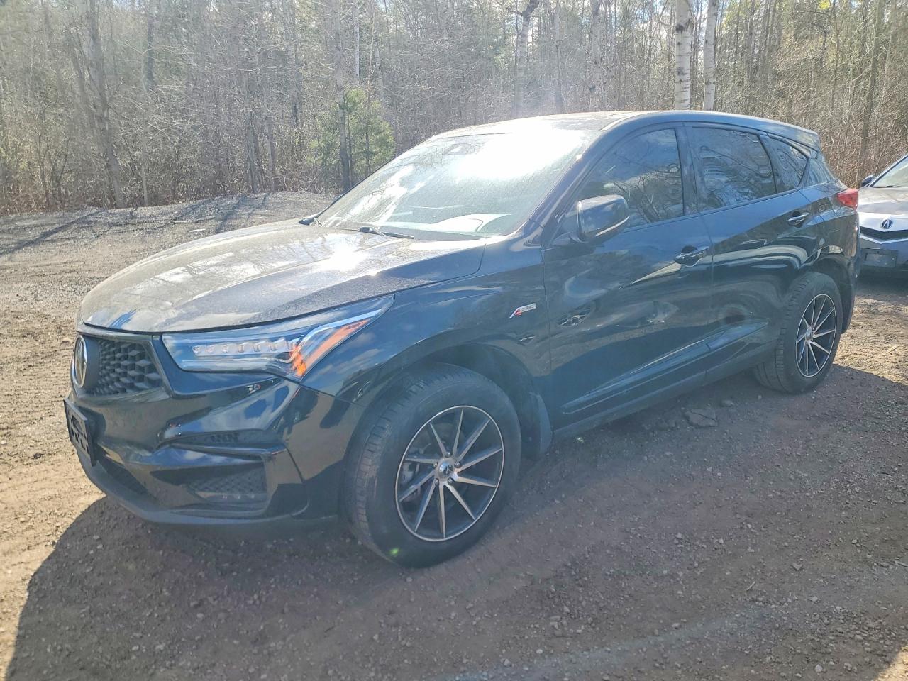 2021 Acura RDX w/A-Spec Package, VIN 5J8TC2H61ML806203 — Vandalism