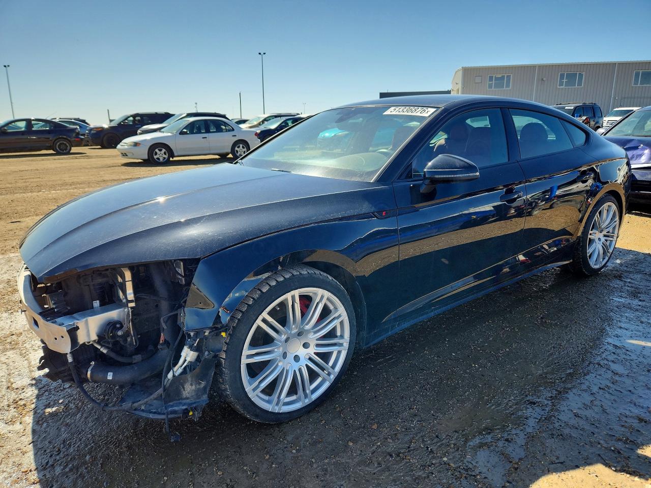 2024 Audi S5 Sportback Premium Plus, VIN WAUB4CF54RA002615 — Перед