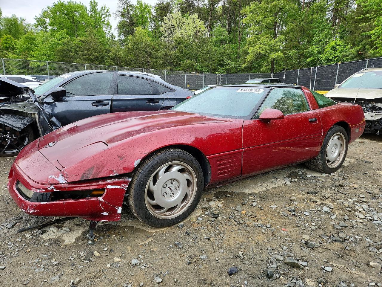 1991 Chevrolet Corvette, VIN 1G1YY2381M5110307 — Front end