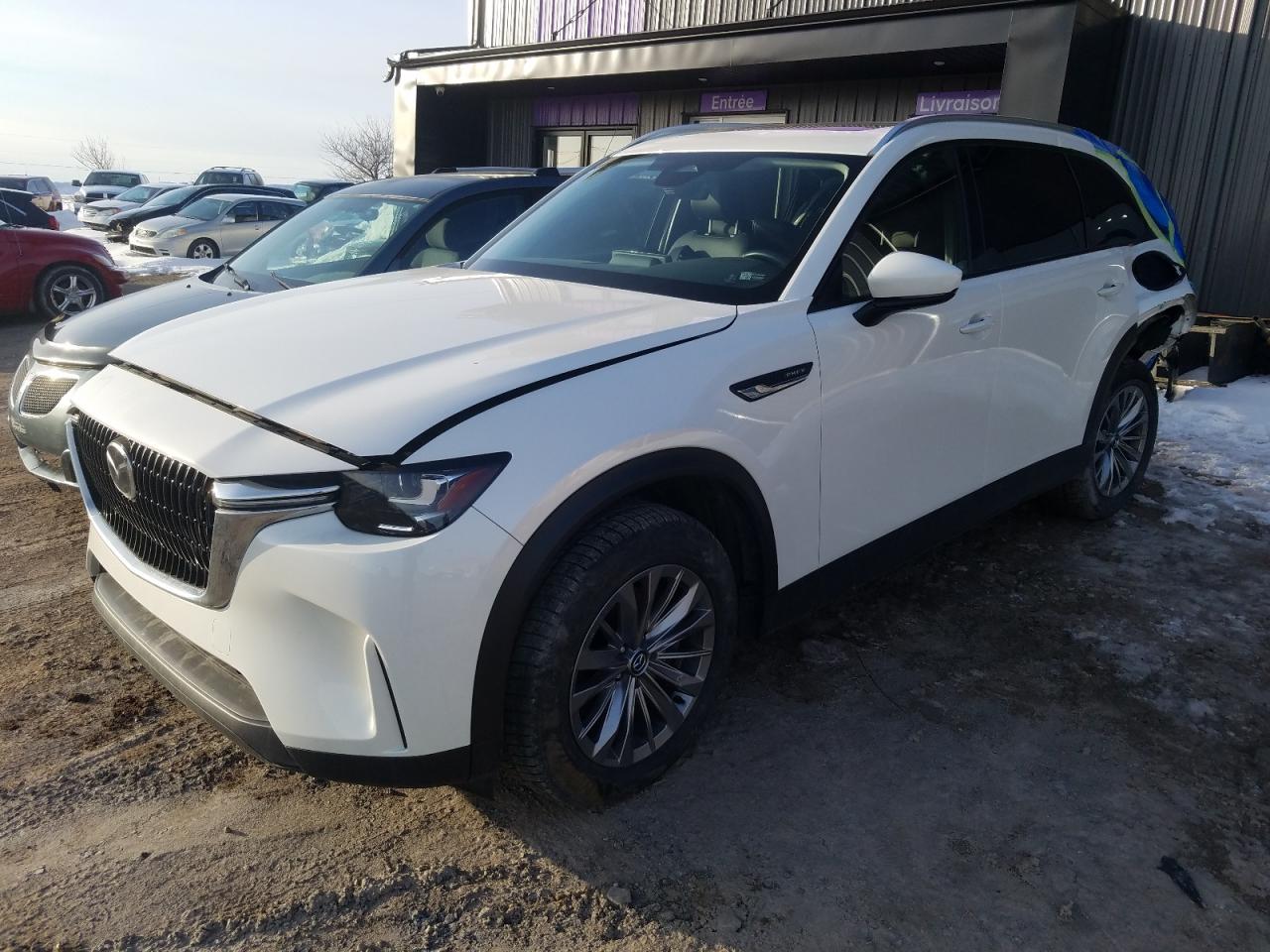 2024 Mazda CX-90 Premium Sport, VIN JM3KKCHA1R1141871 — Rear end