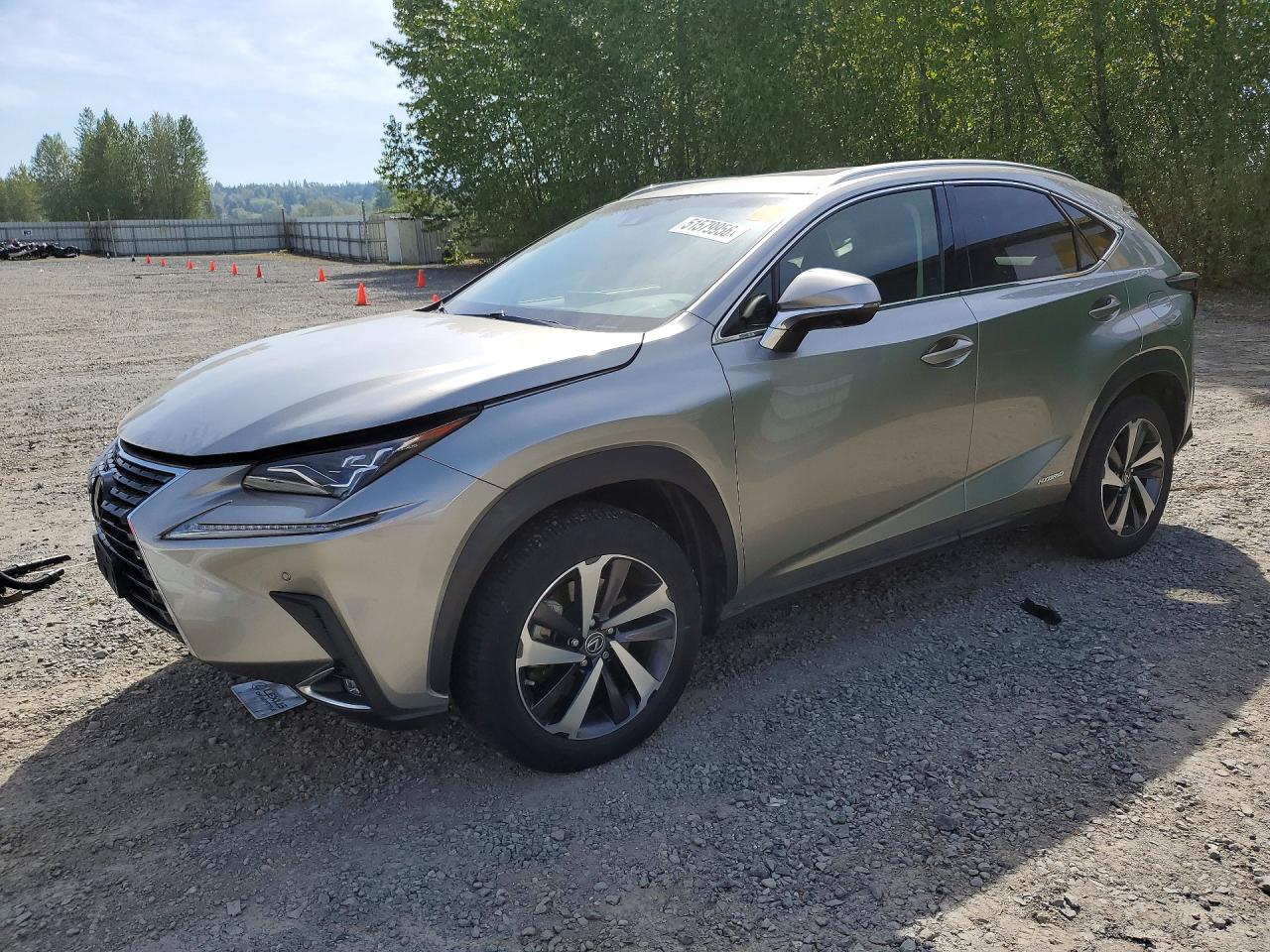 2018 Lexus NX 300h, VIN JTJBJRBZ3J2088440 — Minor dents and scratches